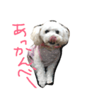 Meru＆Ruru（個別スタンプ：3）