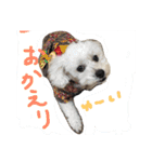 Meru＆Ruru（個別スタンプ：11）