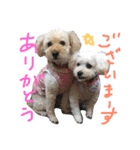 Meru＆Ruru（個別スタンプ：20）