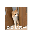 あいさつきなこ3（個別スタンプ：12）