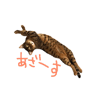 うたのすけ（個別スタンプ：22）