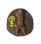 coffee the cutest poodle（個別スタンプ：5）