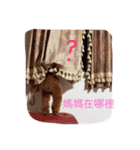 coffee the cutest poodle（個別スタンプ：6）