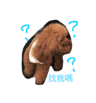 coffee the cutest poodle（個別スタンプ：10）