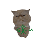 lovely cat-garfield（個別スタンプ：4）