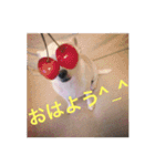 marostanp1（個別スタンプ：2）