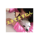 marostanp1（個別スタンプ：5）