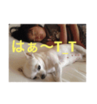 marostanp1（個別スタンプ：8）