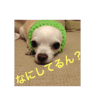 marostanp1（個別スタンプ：10）