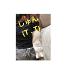 marostanp1（個別スタンプ：13）