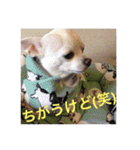 marostanp1（個別スタンプ：15）