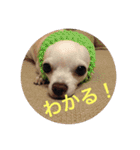 marostanp1（個別スタンプ：21）