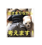 marostanp1（個別スタンプ：24）