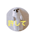 marostanp1（個別スタンプ：28）