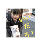 marostanp1（個別スタンプ：35）
