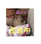 marostanp1（個別スタンプ：36）