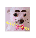 marostanp1（個別スタンプ：37）