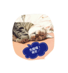 Cookie ＆ Dora（個別スタンプ：6）