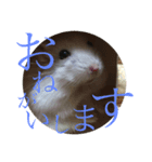 白きネズミと…（個別スタンプ：1）