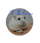 白きネズミと…（個別スタンプ：6）