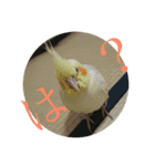 白きネズミと…（個別スタンプ：8）