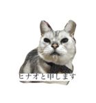 ヒナオ（個別スタンプ：3）