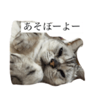 ヒナオ（個別スタンプ：8）