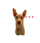 doggiepp（個別スタンプ：3）