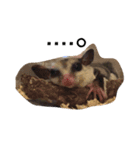 ンガちゃんだよ。（個別スタンプ：3）