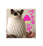 ンガちゃんだよ。（個別スタンプ：8）