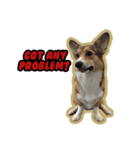 Cookie The Corgi Dog（個別スタンプ：14）