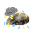 toto❤︎kanade（個別スタンプ：6）