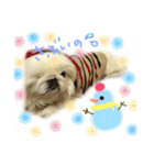 toto❤︎kanade（個別スタンプ：7）