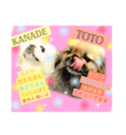 toto❤︎kanade（個別スタンプ：8）