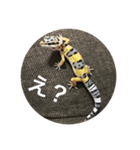 うちのレオパちゃん（個別スタンプ：4）