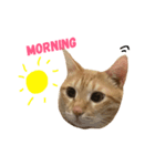 MeowWu（個別スタンプ：1）