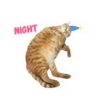 MeowWu（個別スタンプ：2）