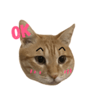 MeowWu（個別スタンプ：3）