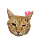 MeowWu（個別スタンプ：4）