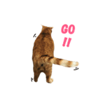 MeowWu（個別スタンプ：7）