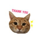 MeowWu（個別スタンプ：8）