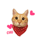 MeowWu（個別スタンプ：10）