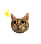 MeowWu（個別スタンプ：16）