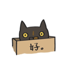 hello my love cat（個別スタンプ：5）