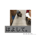 kanau01（個別スタンプ：3）