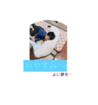 kanau01（個別スタンプ：11）