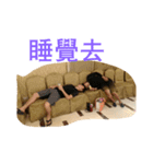 leavex（個別スタンプ：4）