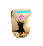 leavex（個別スタンプ：6）