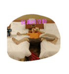 leavex（個別スタンプ：8）