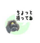 りとる、ときどき、ある。（個別スタンプ：9）